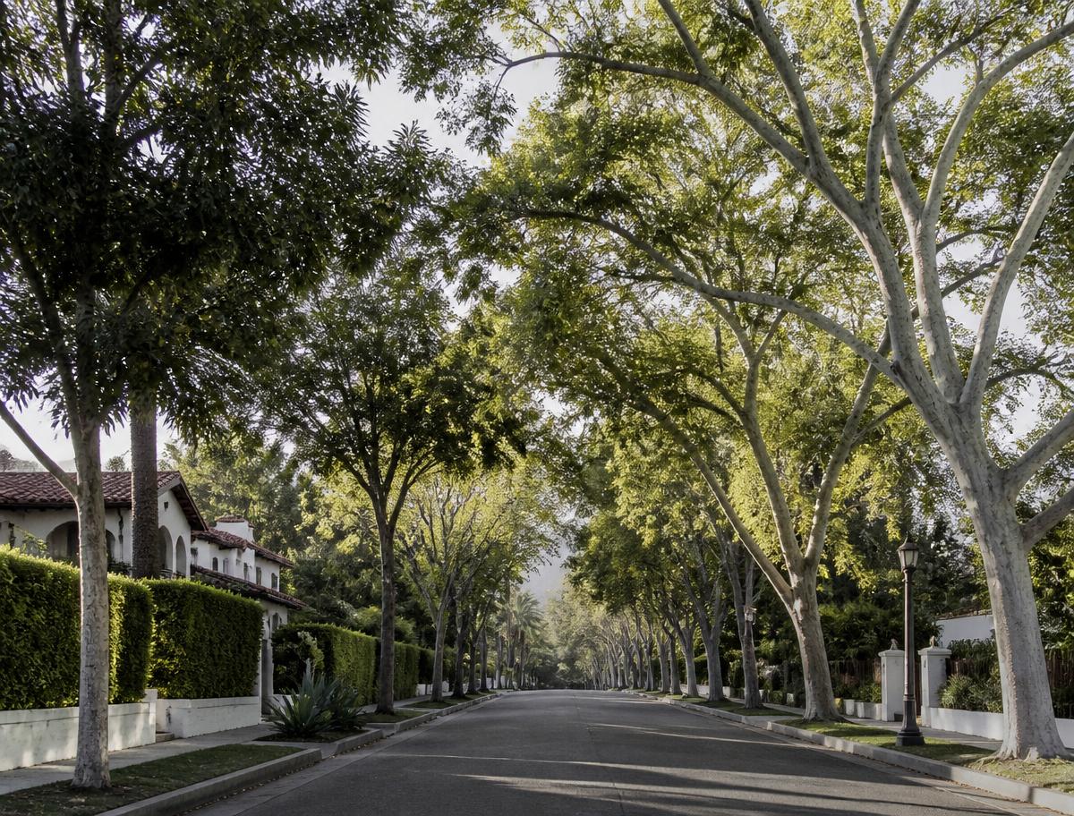 Tree-lined California residential investment neighborhood